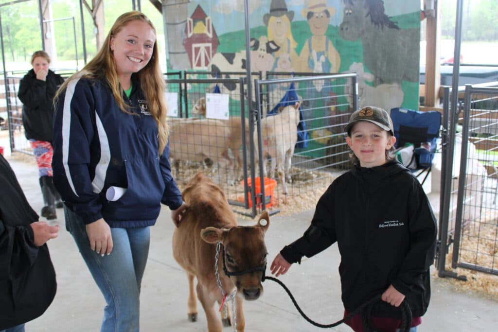 Orange County 4-H calf sale raises about $30,000 for youth agriculture