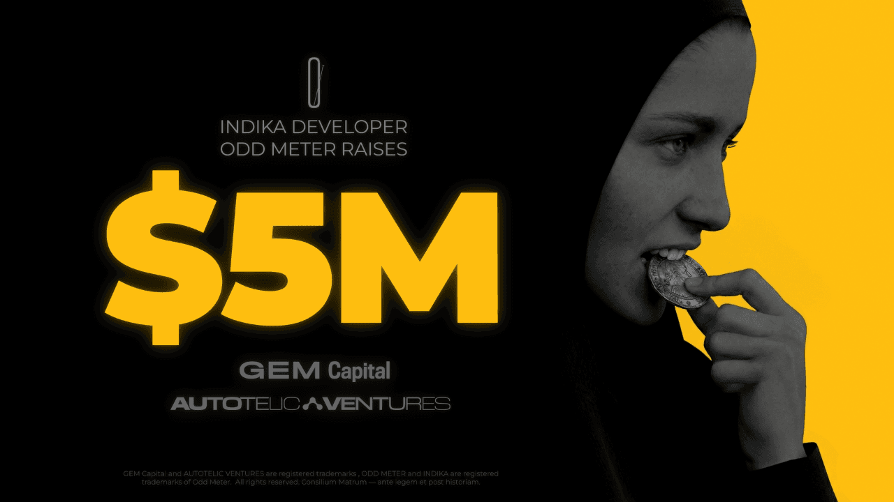 Odd Meter raises $5 million for next game after INDIKA success