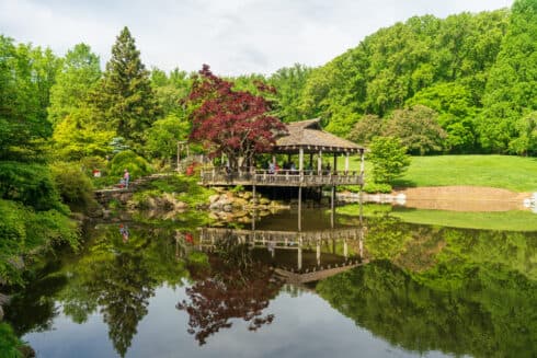 Brookside Gardens yoga class shifts to Japanese Tea House this summer