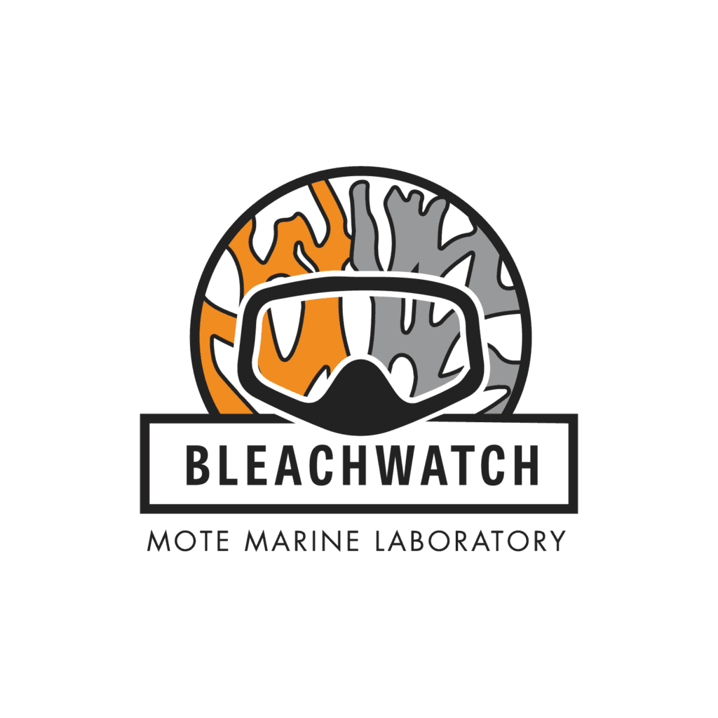 BleachWatch recruits volunteers to monitor reef bleaching in the Keys