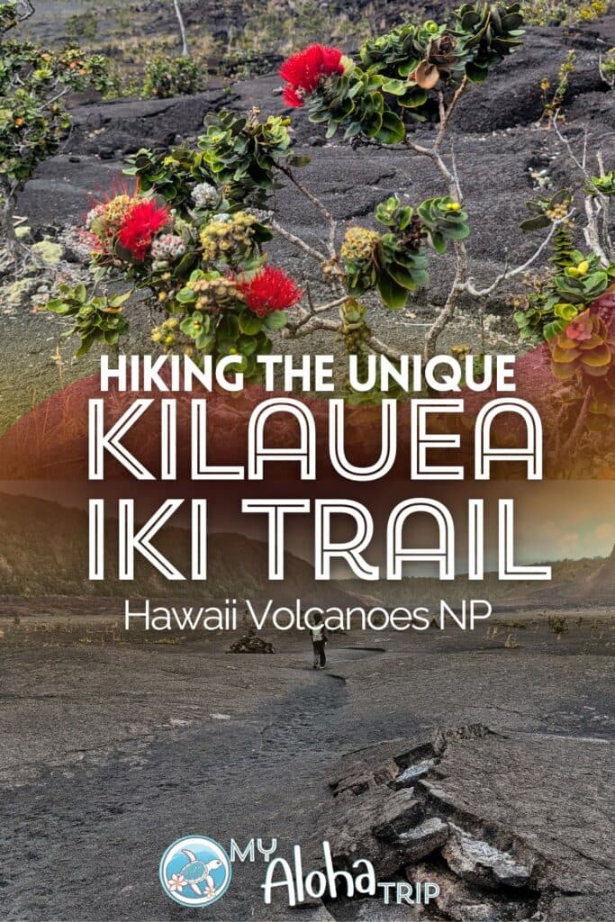 Big Island County's 10 Best Day Hikes: Routes, Distances, and Safety Tips