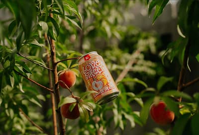 Karbach brings back Love Street Summer Peach Ale for Texas retailers