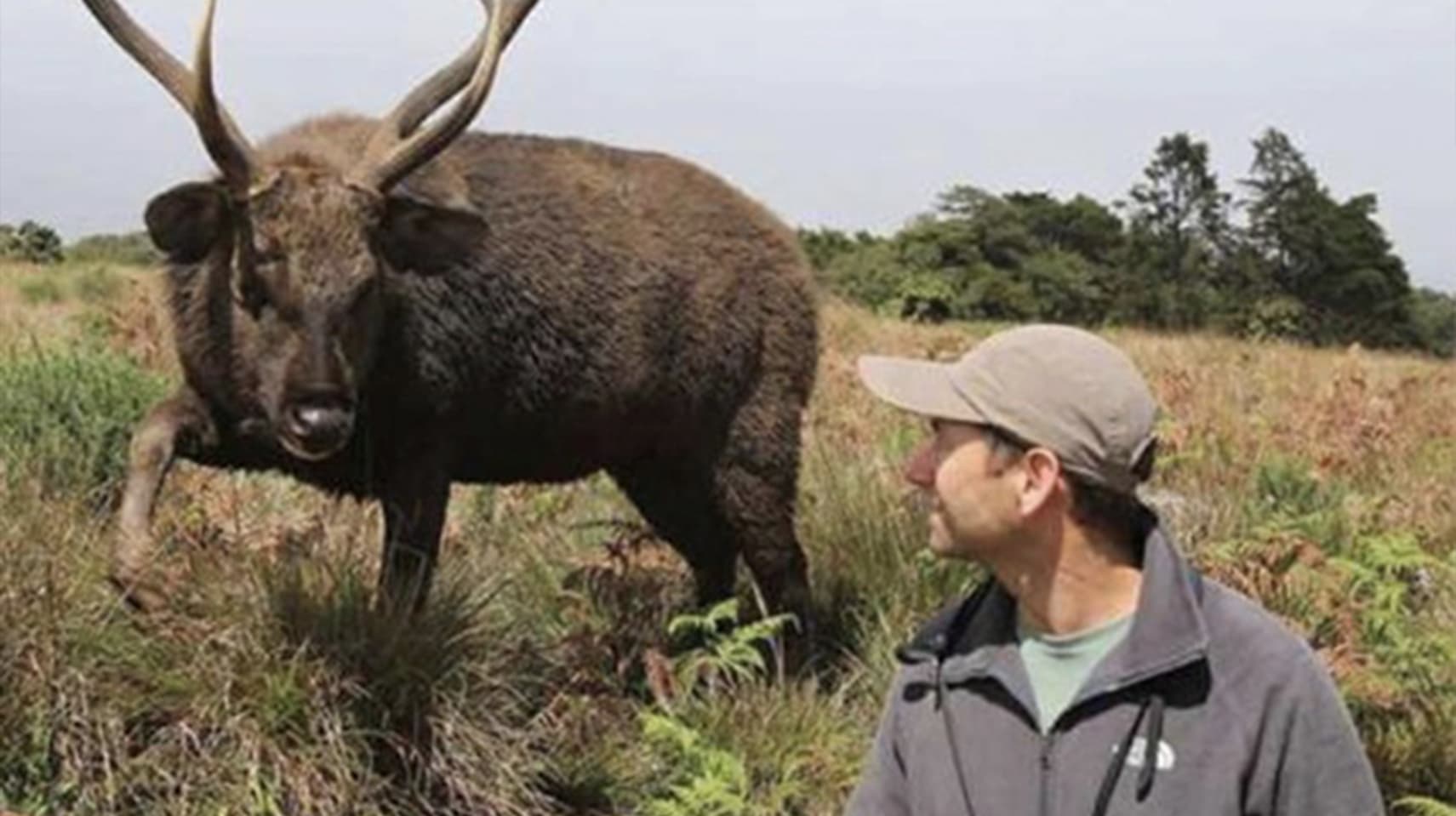 Conservation Group Urges Israel to Protect Rodent Vulnerable to Extinction