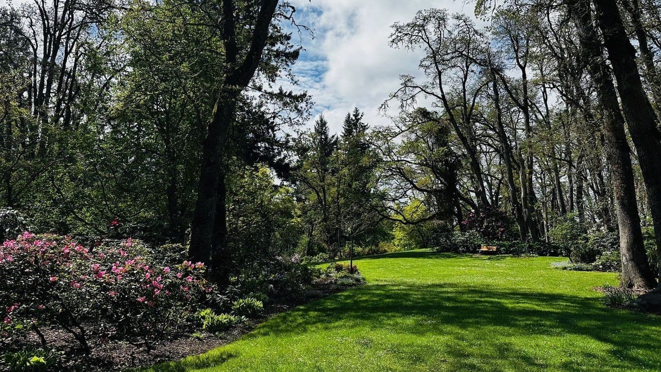 Eugene prepares traffic changes, crowd management for busy Hendricks Park weekend