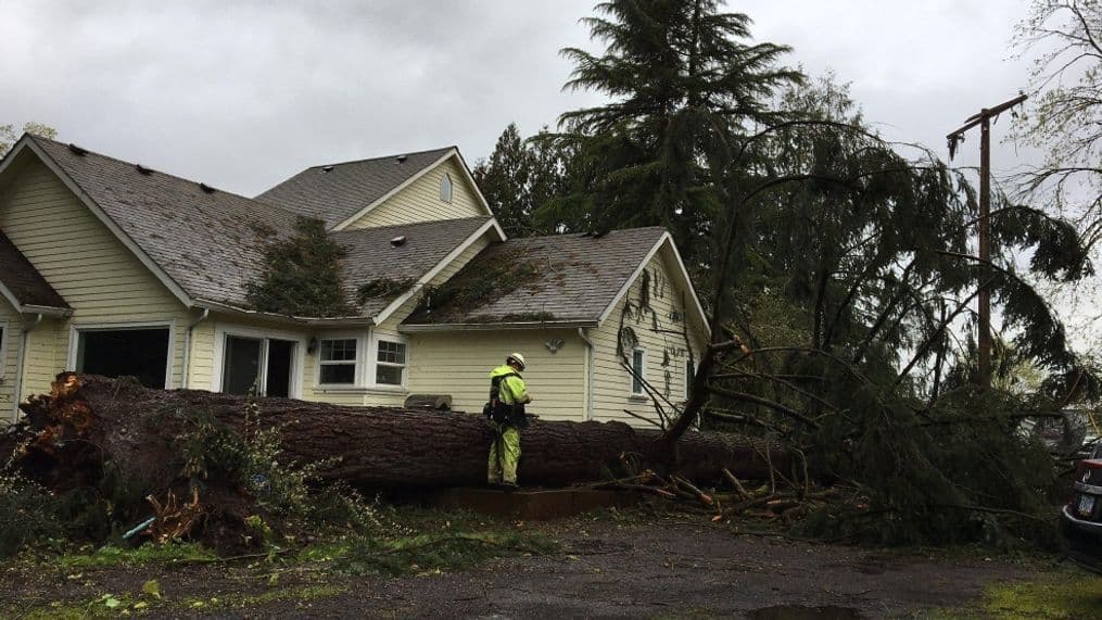 Storm knocks out power across western Oregon, disrupts schools and roads