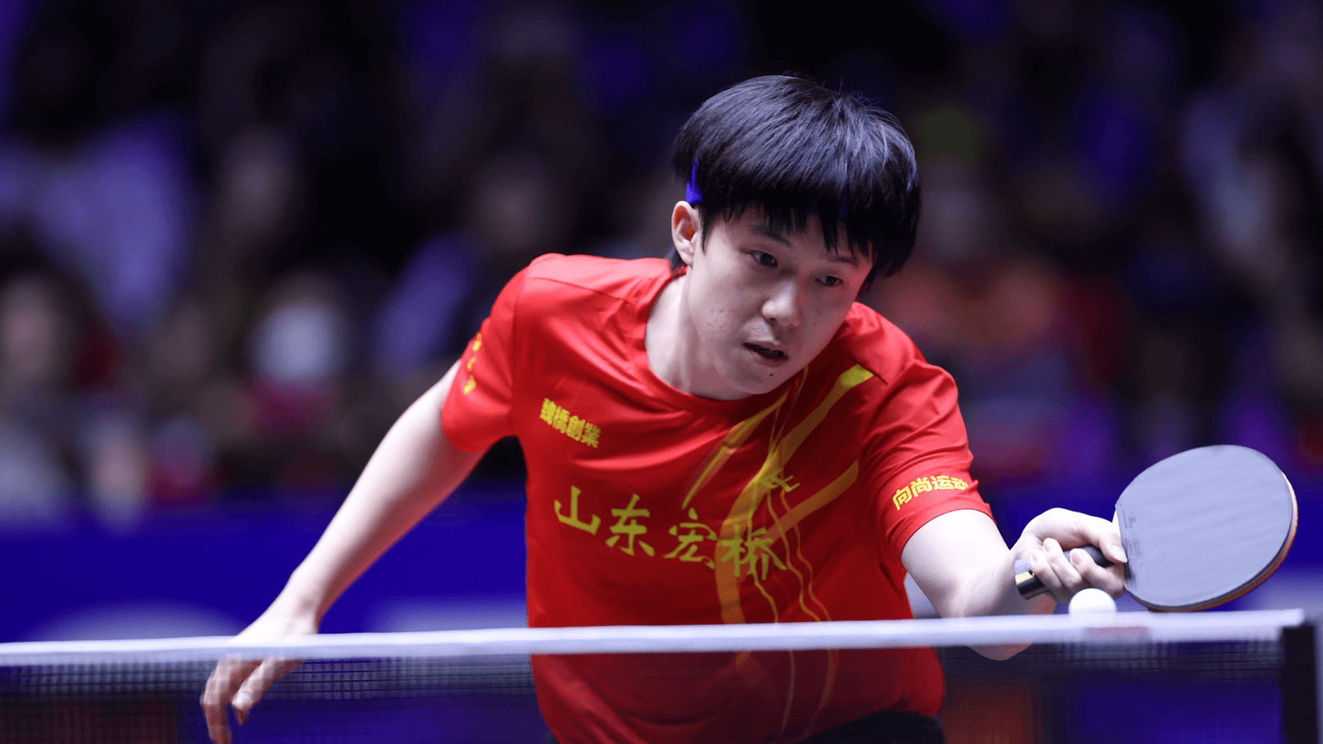 Wang Chuqin Leads Shandong to Super League Title, Then Plans Break