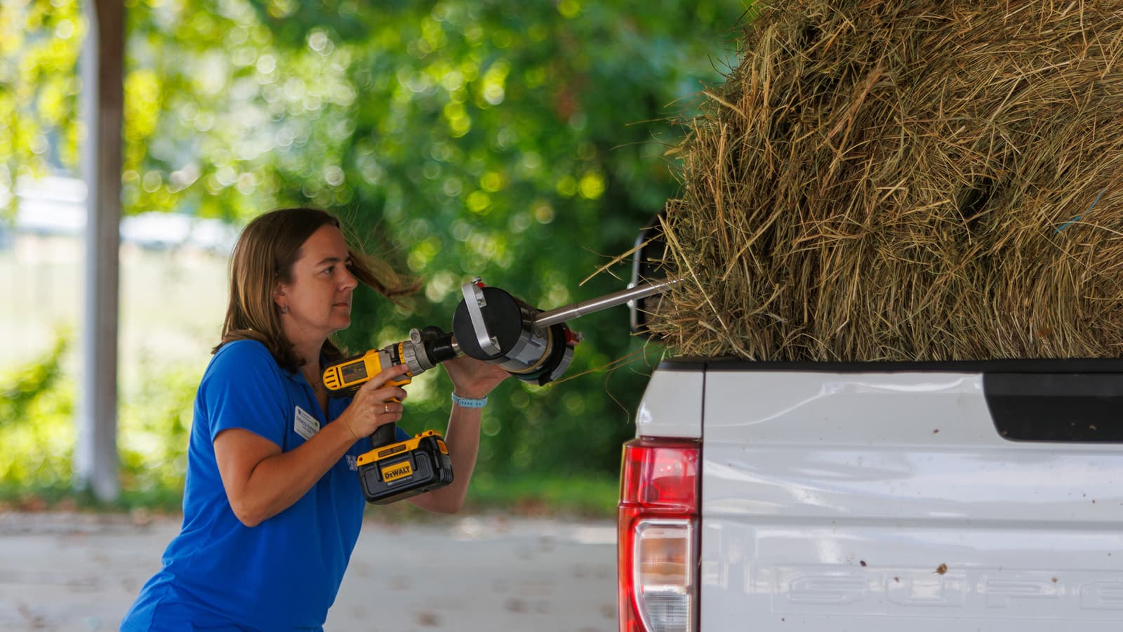 UK Posts Extension Agent Opening in Agriculture and Natural Resources, Perry County