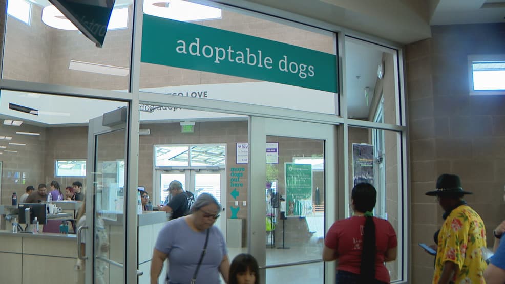 Goochland Waives Adoption Fees at County Animal Center Today