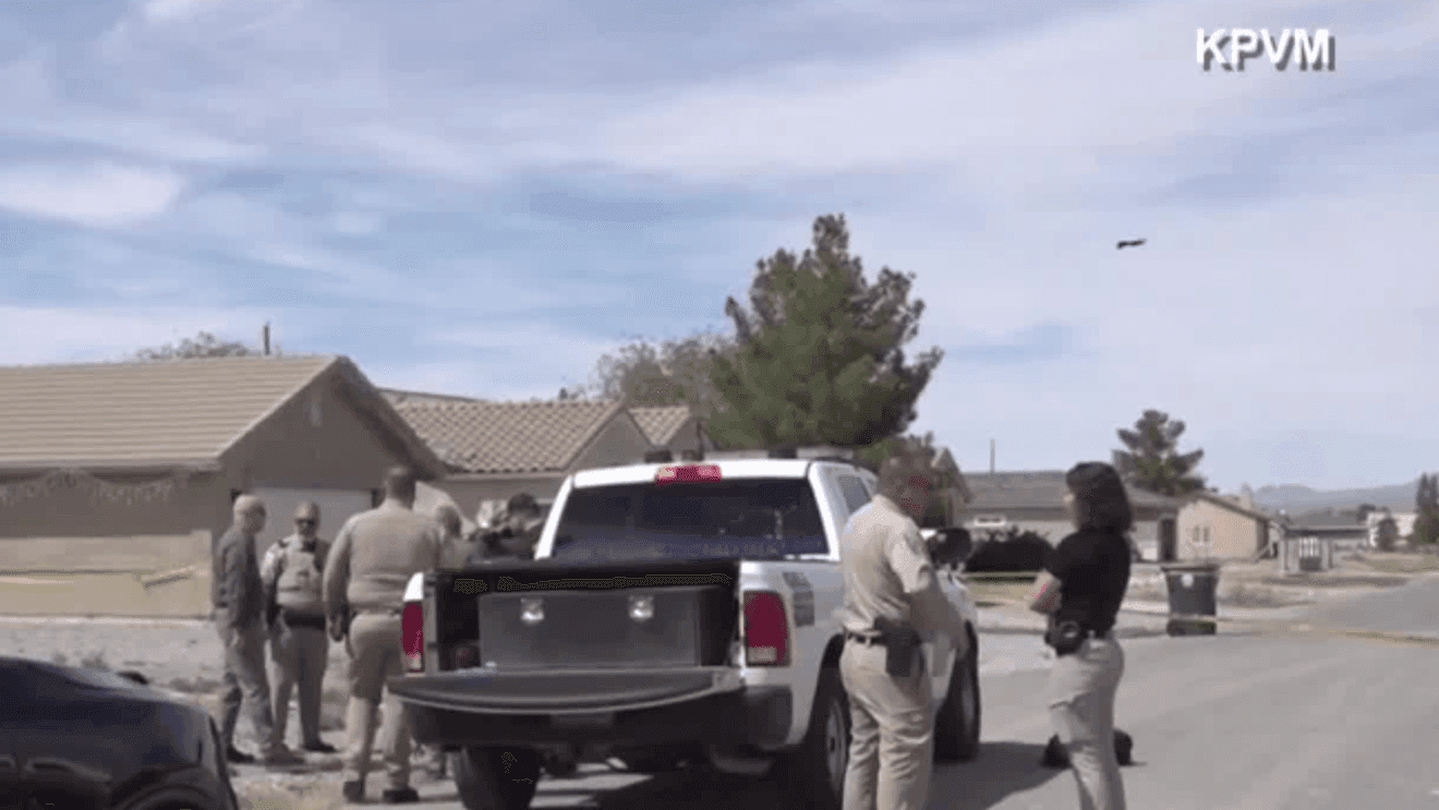 Pahrump Man Airlifted to Las Vegas After Vicious Dog Attack, Deputy Kills Animal