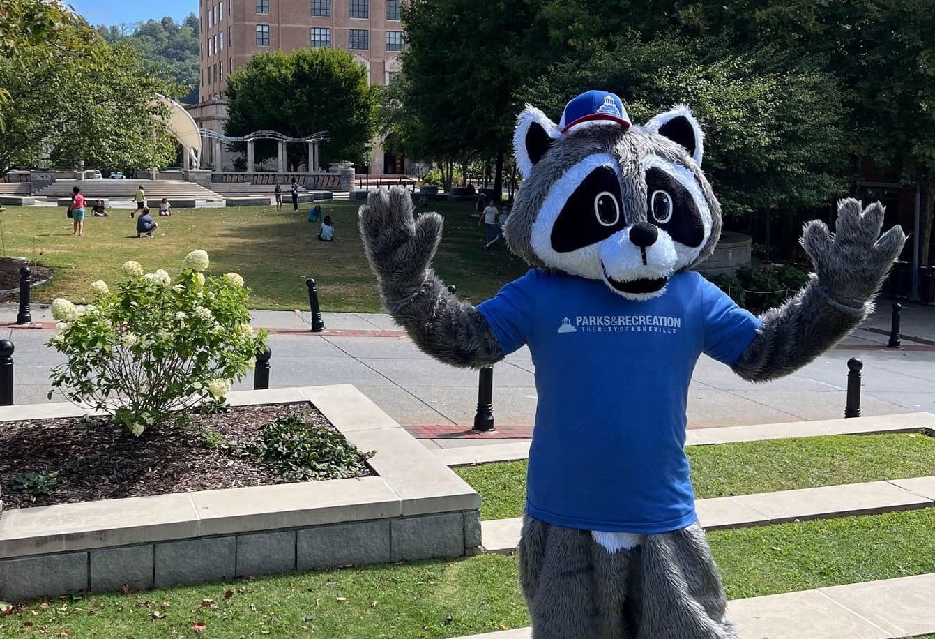 Asheville mascot controversy raises questions about city oversight and race