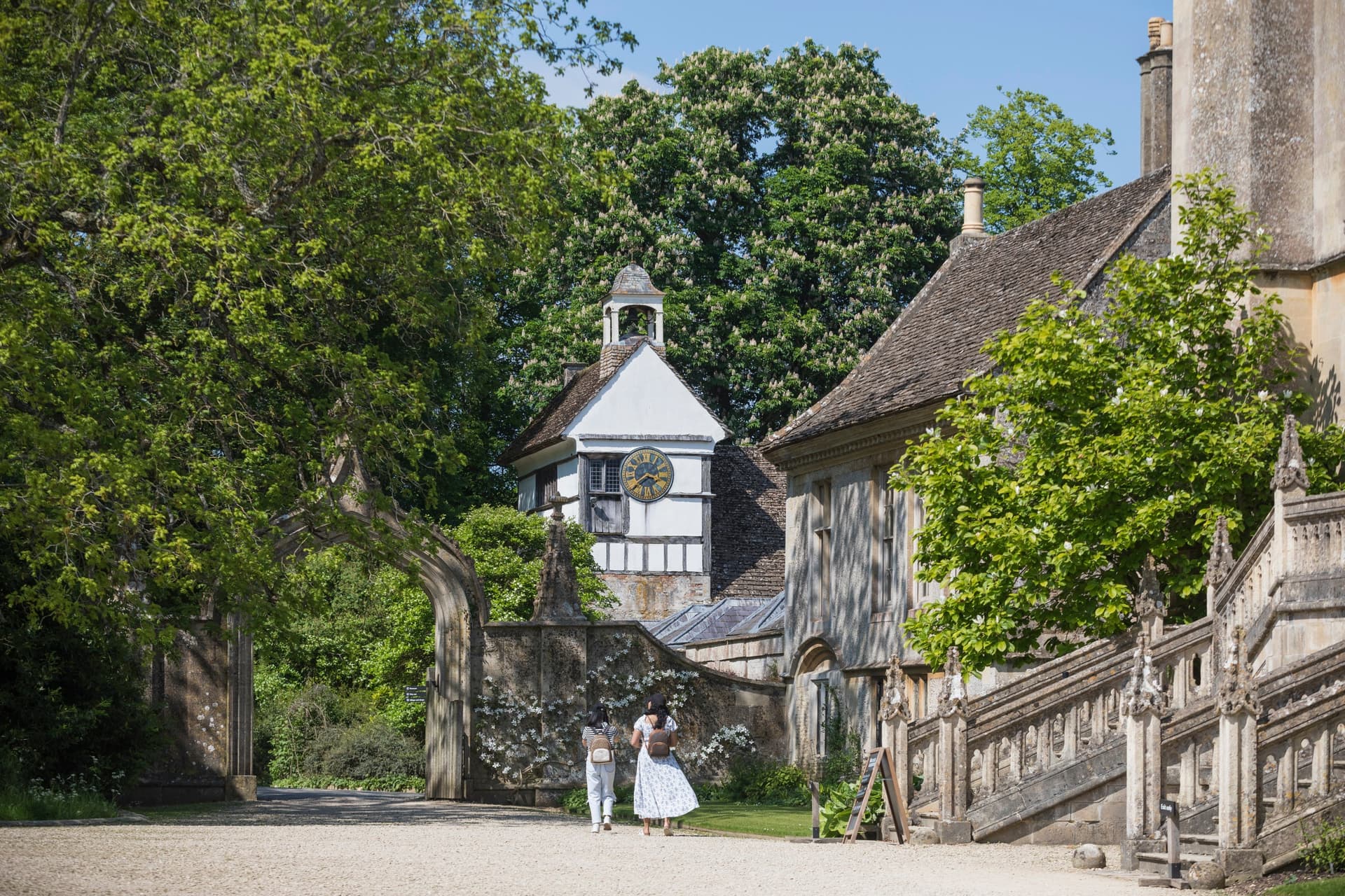 Martin Parr's final commissioned work opens at Lacock Abbey exhibition