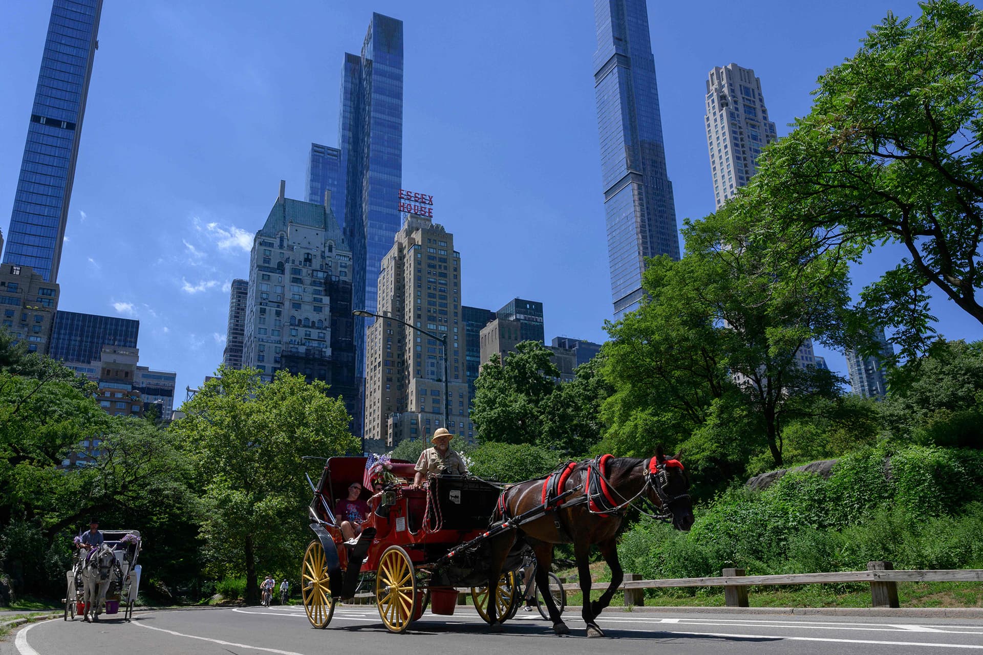 Central Park carriage crash kills Indian tourist after horse bolts