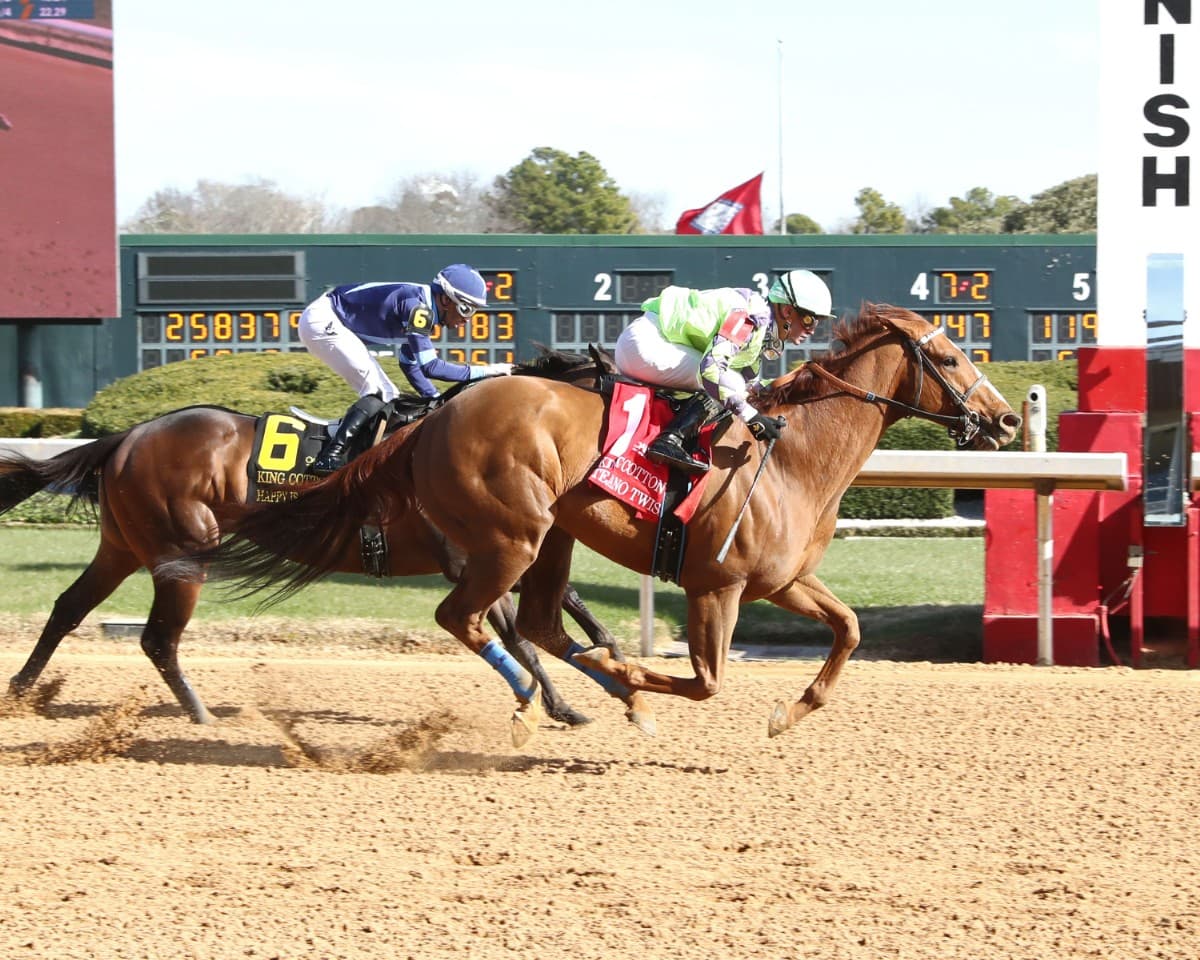 Will Take It Noses Out Woodcourt in Fifth Season Stakes