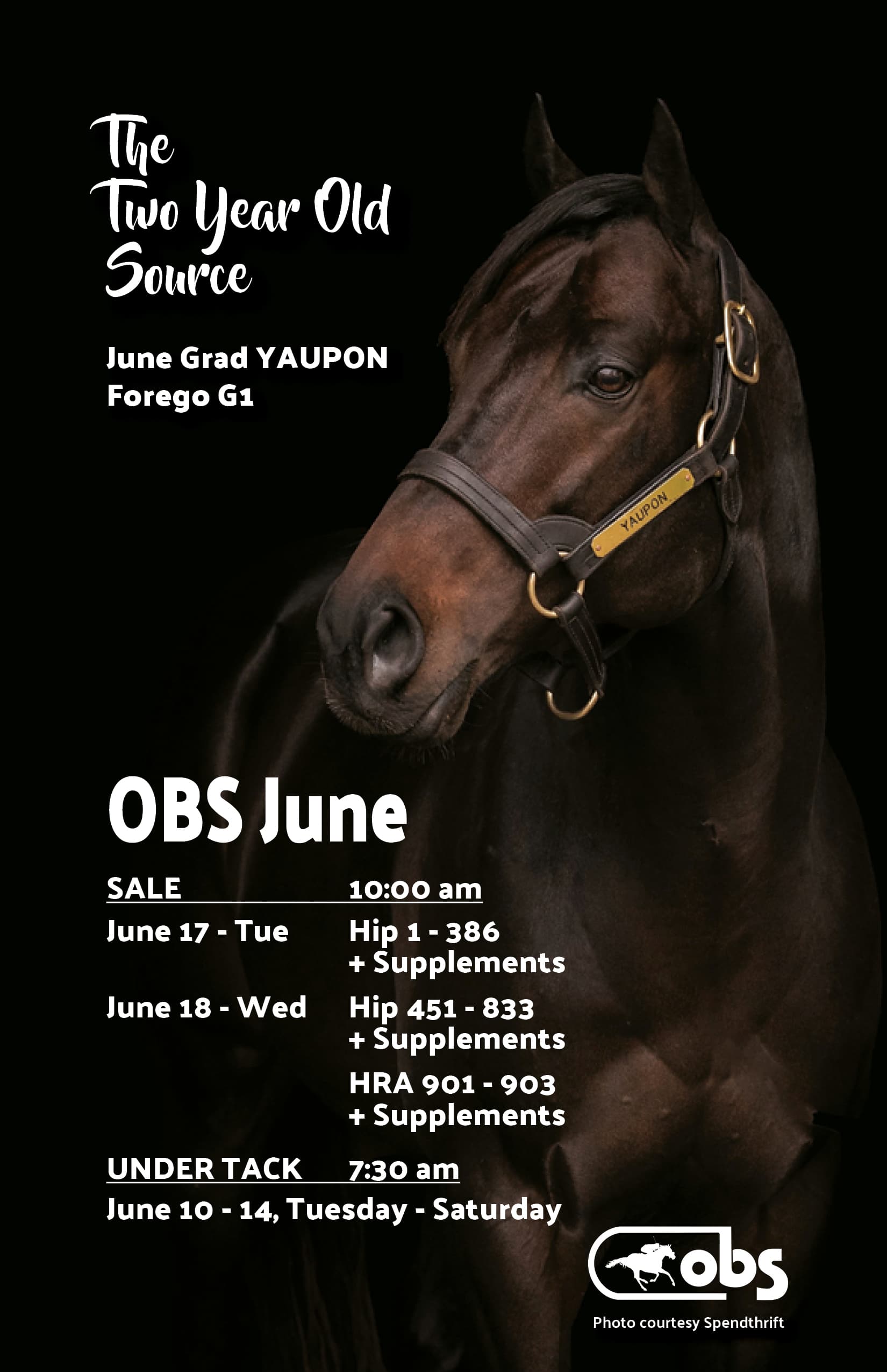 OBS June 2-year-old sale preview begins five-day under-tack schedule