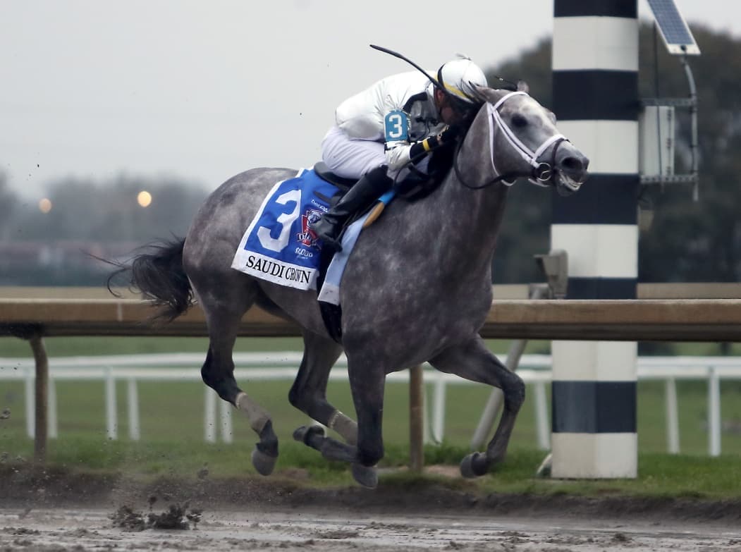 Life Is Good Colt Unleashes Monster Bullet Breeze at OBS Sale
