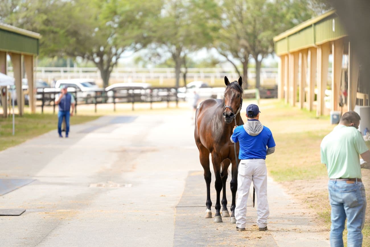 Central Banker filly tops fast OBS June juvenile works thread