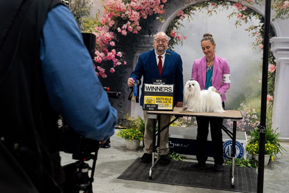 Black Diamond Cluster Dog Show draws thousands to Morgantown again