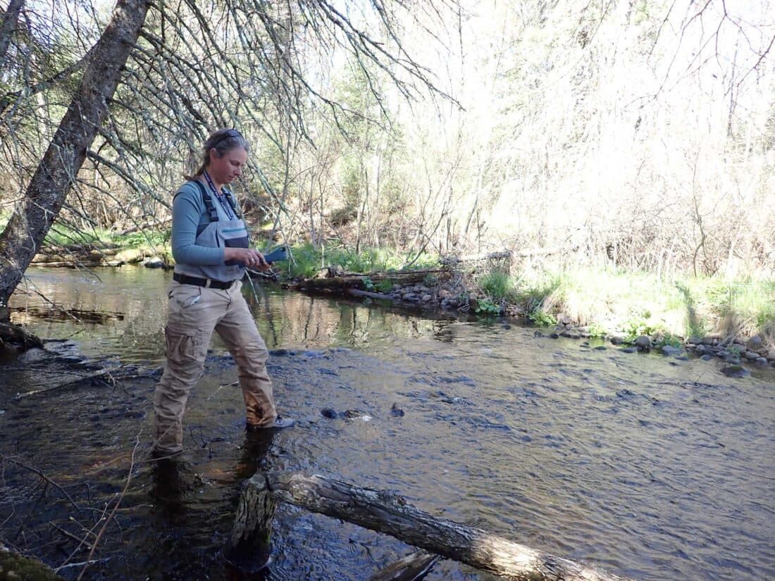 Iron County Seeks Outside Manager for Cooks Run Fish Hatchery Property