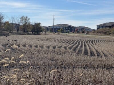 Nebraska developer seeks incentives for 131-unit northwest Lawrence apartments