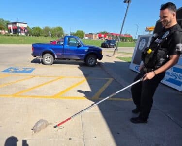 Armadillos becoming more common around Lawrence, wildlife experts say