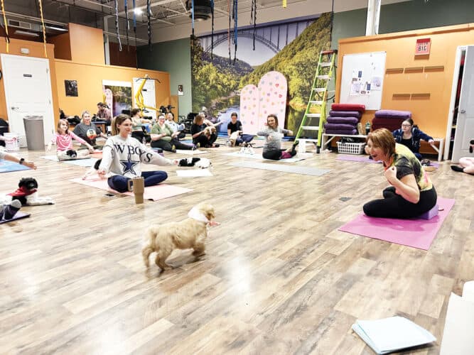 Sarah's Yoga Studio Hosts Puppy Yoga Fundraiser at Ciao Chow Feb. 8
