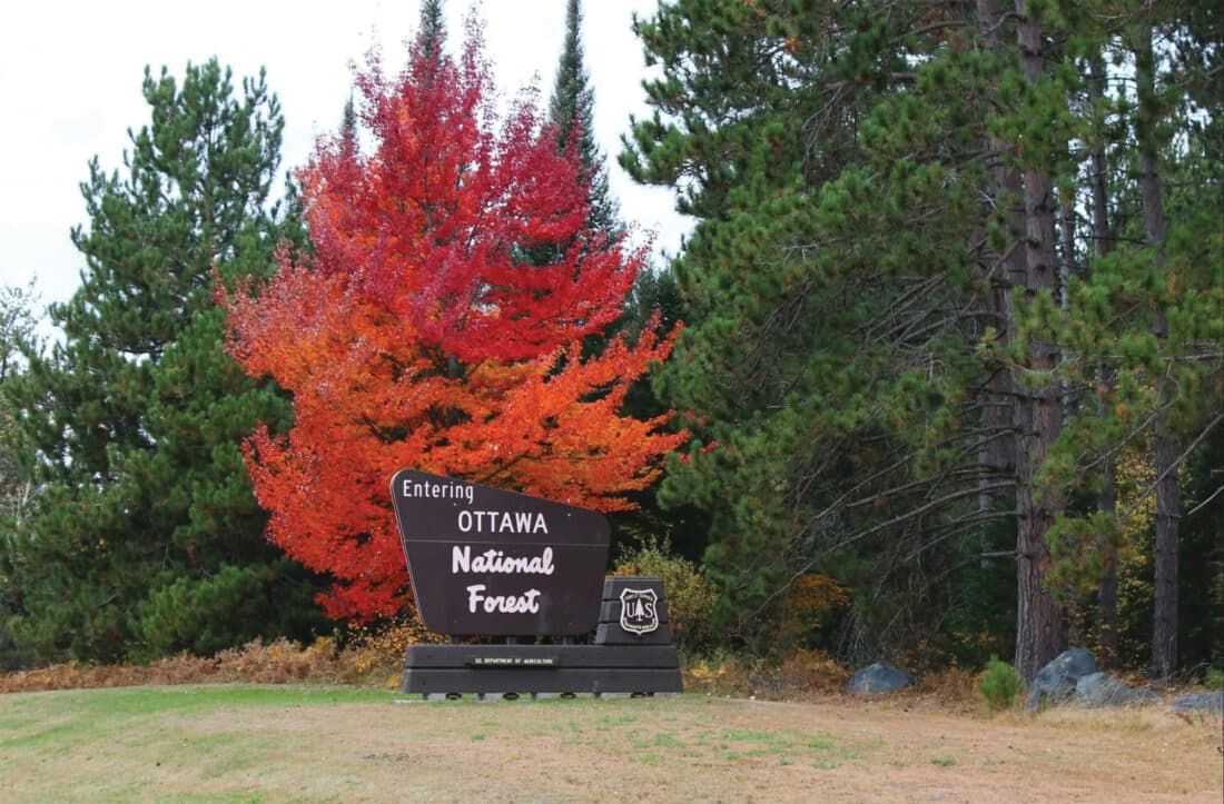 Federal Forest Service Cuts Could Impact Upper Peninsula Research, Resources