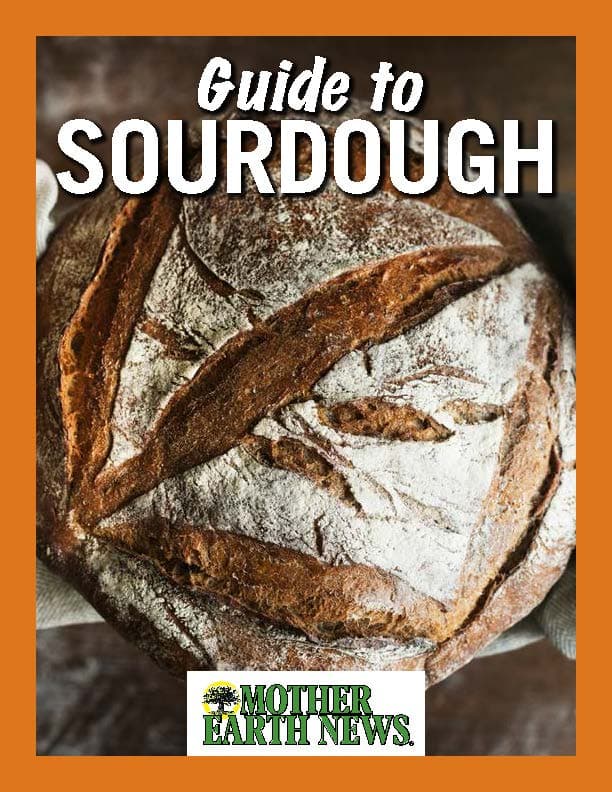 Khorasan Mills Releases Step-by-Step Sourdough Starter Guide for Home Bakers