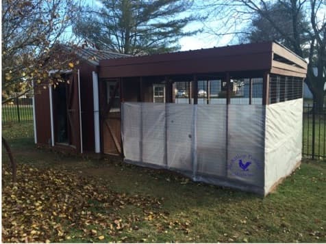 Winter coop care tips to prevent frostbite and frozen waterers