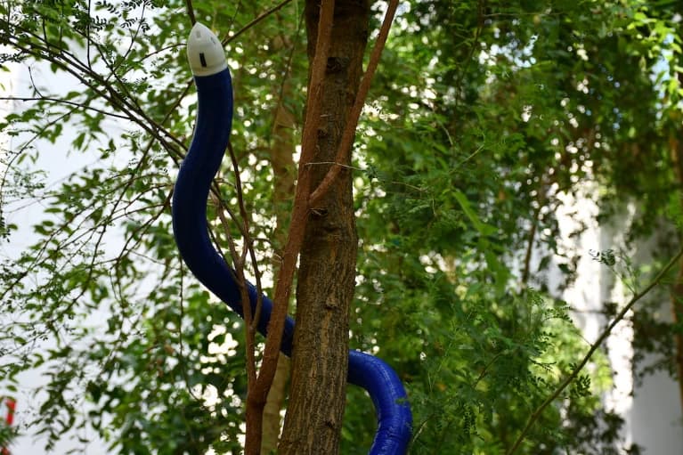 Vine-inspired 3D-printed robot grows through tight spaces autonomously