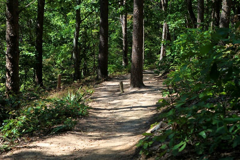 Sawnee Mountain Preserve offers Forsyth County residents a quick nature escape