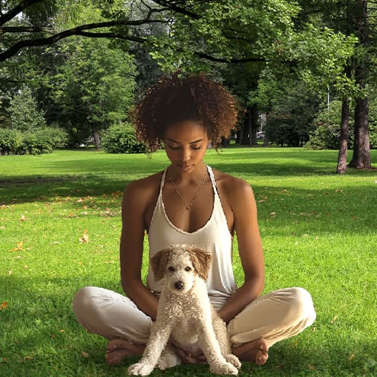 Westchester County Parks brings puppy yoga back to Kensico Dam Plaza