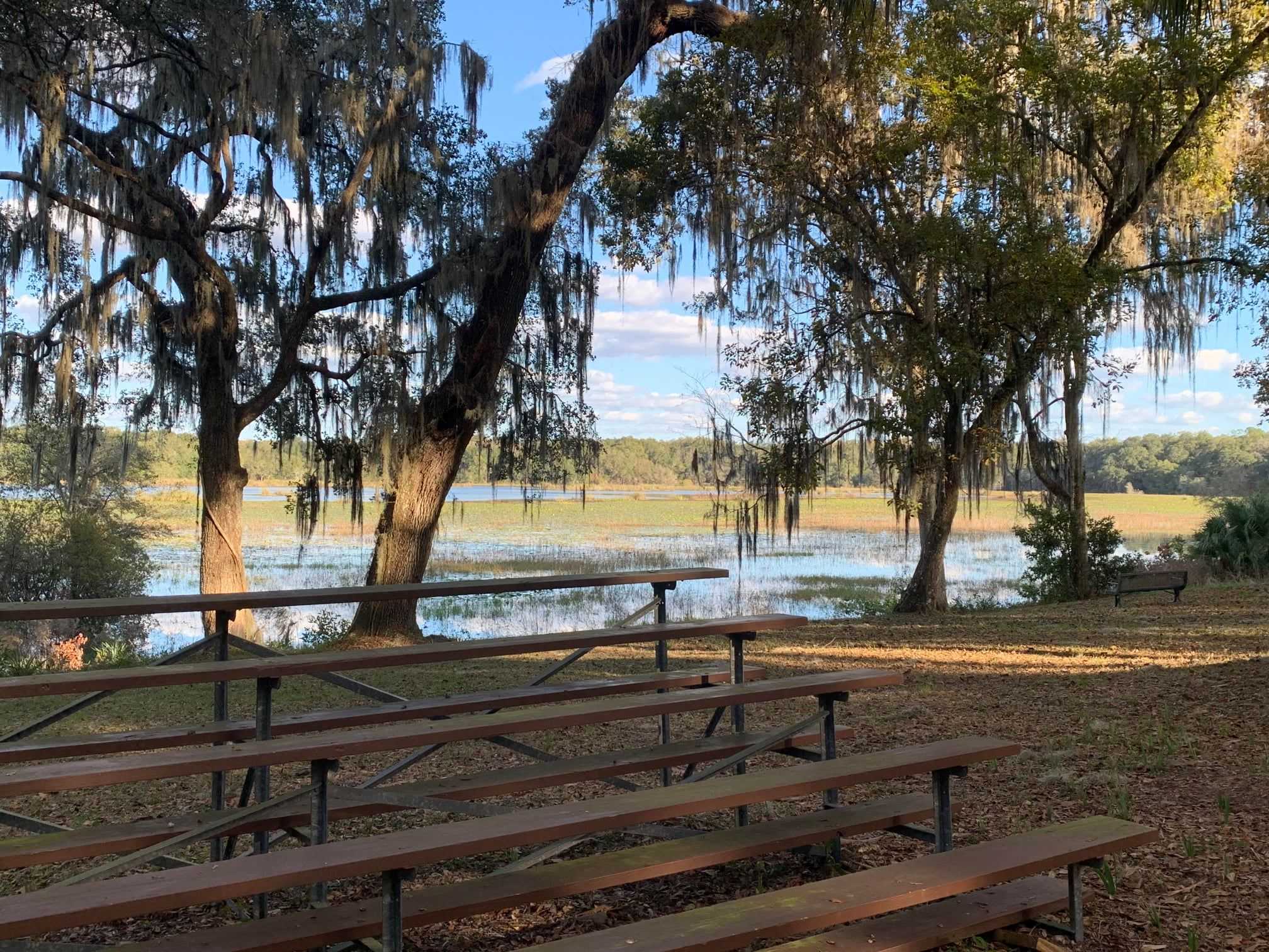 Fort Cooper State Park, 700 Acre Resource Boosts Hernando County Recreation