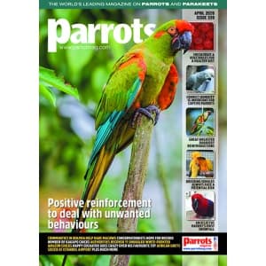 Parrots Magazine Issue 339 Covers Training, Humidity, and Conservation Care