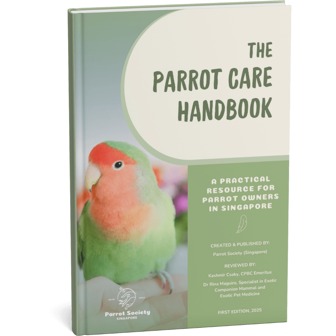 Singapore parrot society releases free, expert-reviewed care handbook