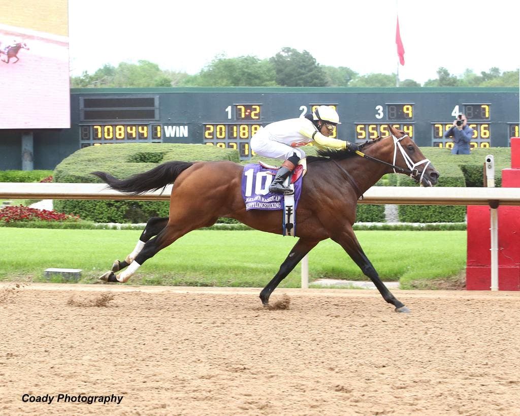 Saffie Joseph Targets GII Oaklawn Handicap with White Abarrio