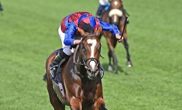 Goodwood names Fitzdares sponsor for key 2026 meeting blocks