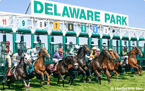 To A Flame looks poised for rebound in Christiana Stakes at Delaware Park