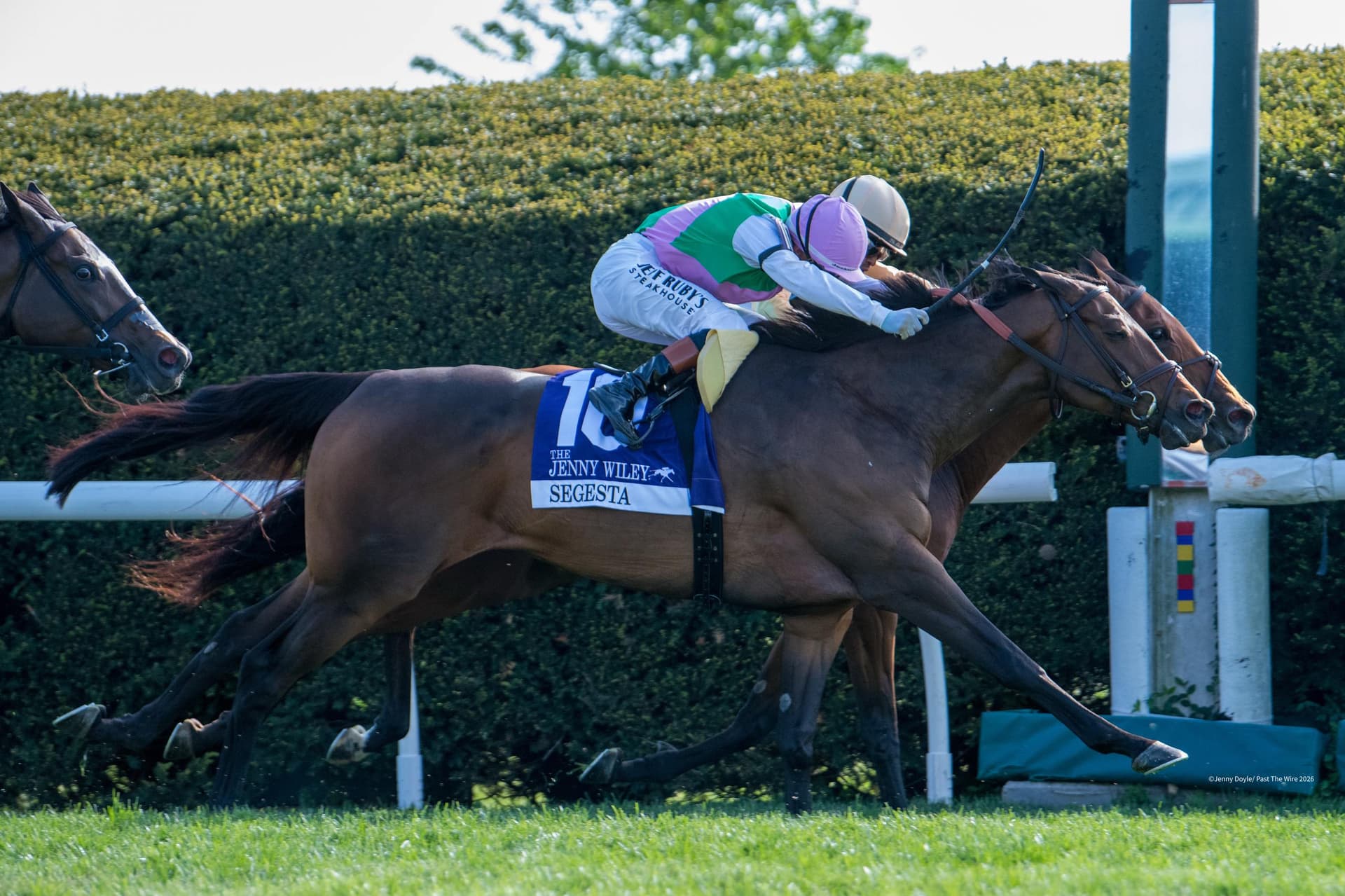 Expensive Queen dead heat gives Farfellows first Grade 1 triumph