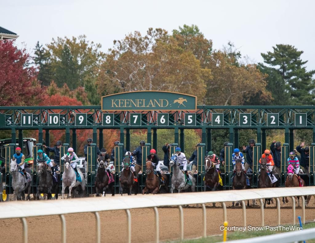 Keeneland Data Glitch Displays Wrong Odds, Confusing Remote Simulcast Bettors