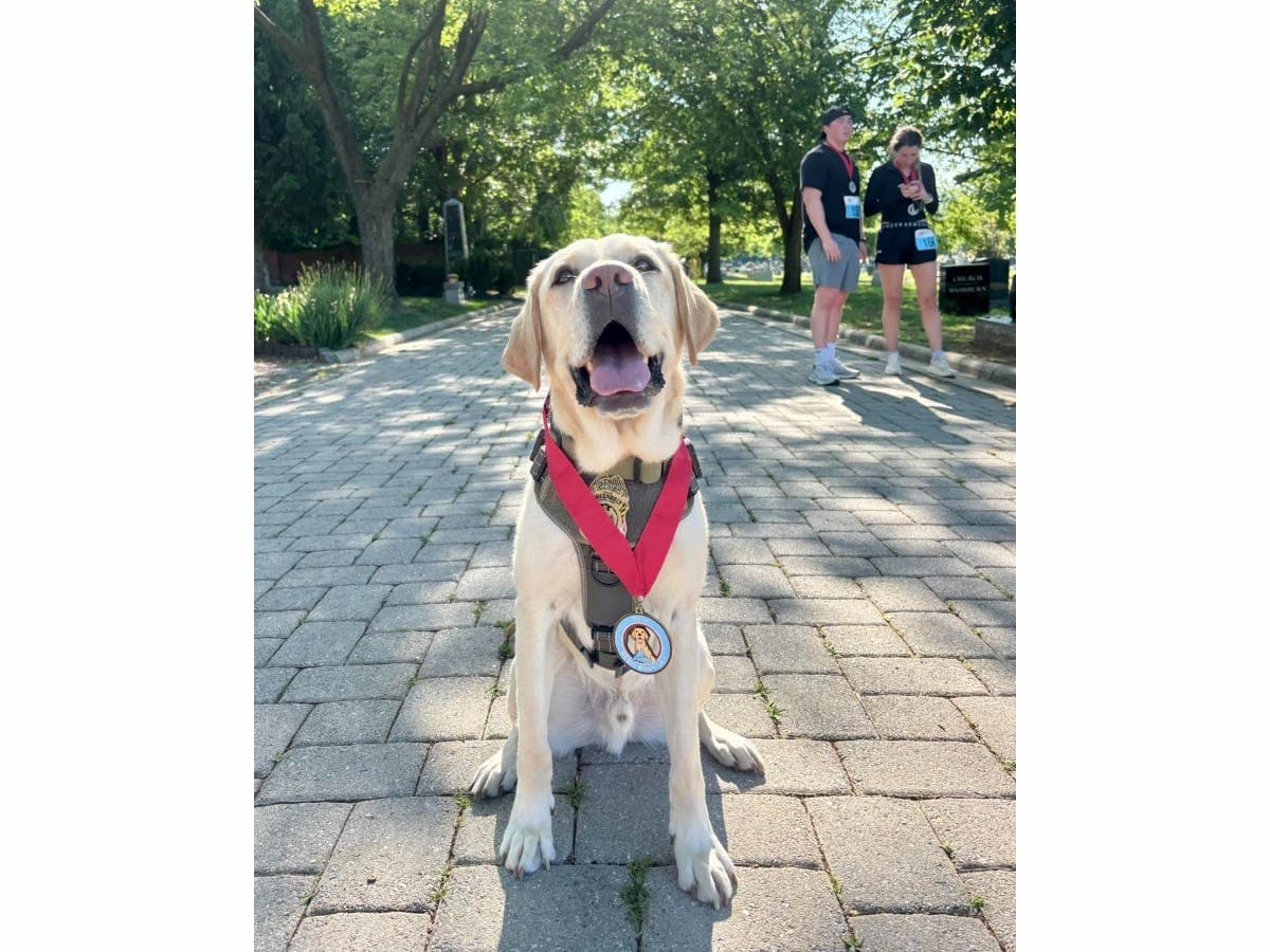 Greenbelt police K9 Ollie joins Hero Dogs 5K9 in Washington, D.C.