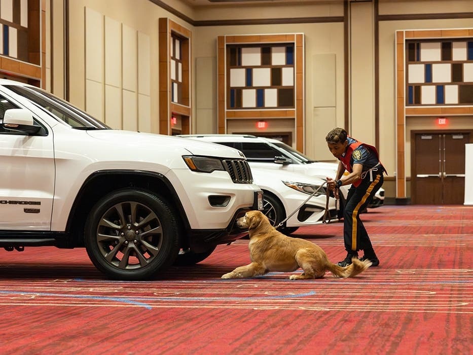 Police K9 teams showcase detection skills at Atlantic City trials