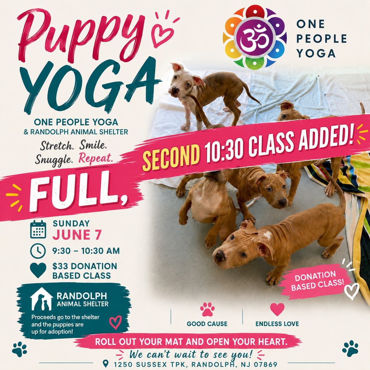 Randolph puppy yoga fundraiser pairs rescue pups with adoption chances