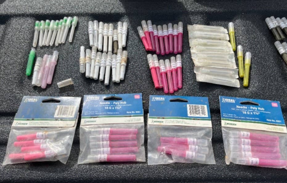 Trainer Luis Diaz Suspended After 79 Needles Found in Hidden Vehicle Compartment