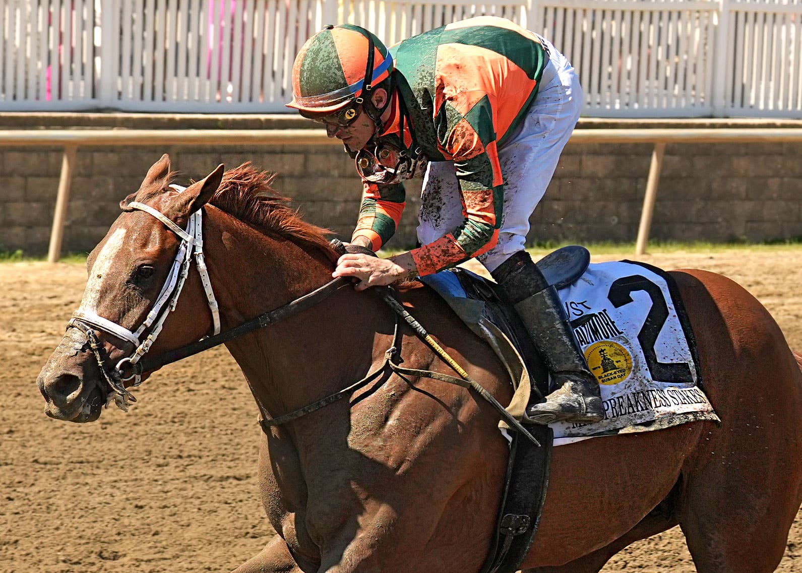 Preservationist shines as his foals score graded wins on Preakness weekend