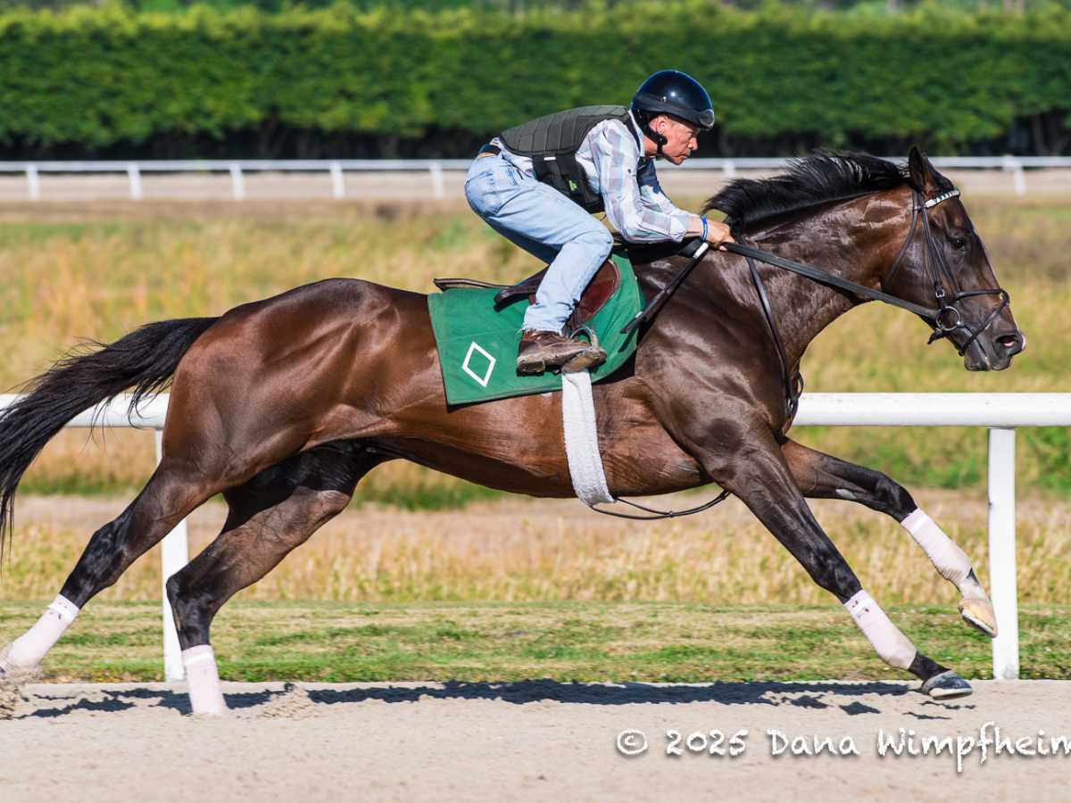 Sovereignty Returns to Work, Breezes Three Furlongs in :37.40 at Payson Park