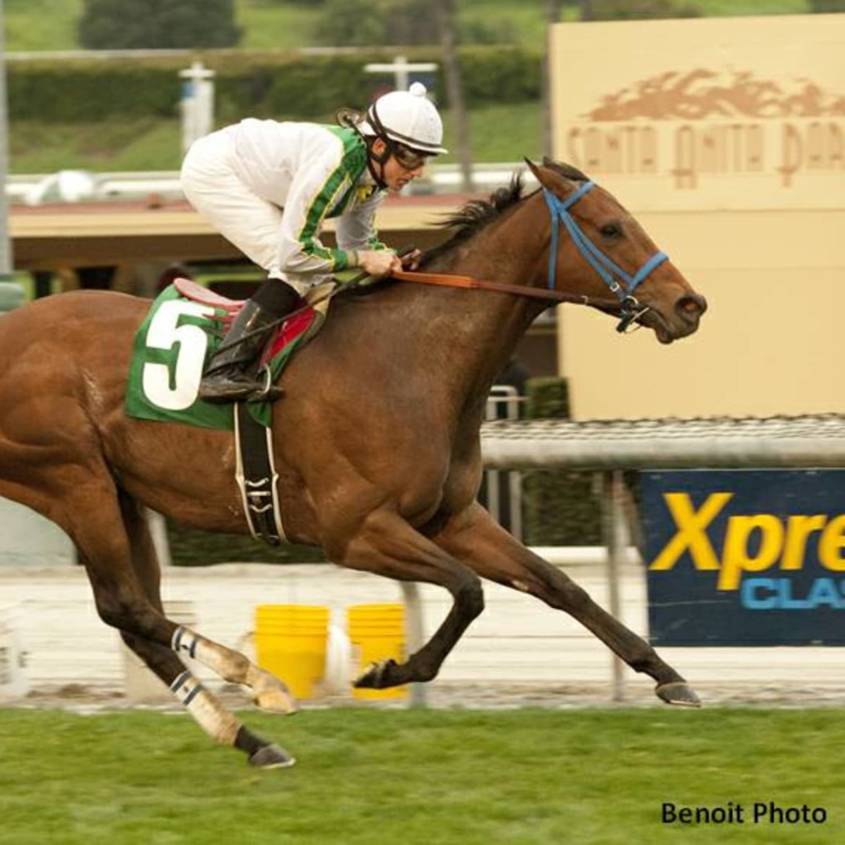 Emerald Downs Announces Washington Racing Hall of Fame Class, Induction Aug. 15