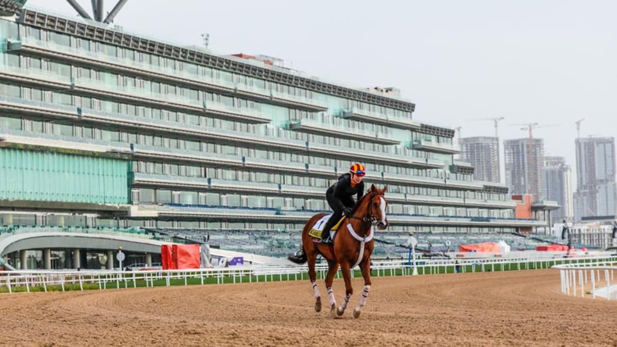 Racing Halted at Meydan After UAE Air Defense Engages Missiles and Drones