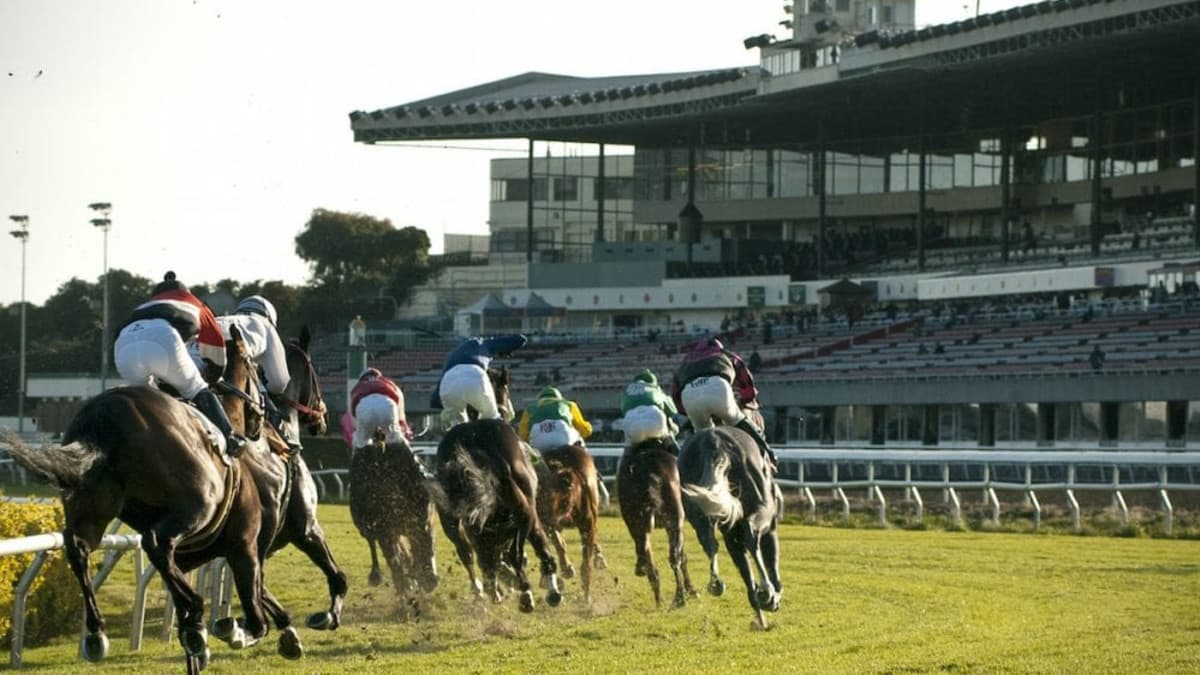 Trust for Public Land Secures $175 Million Deal to Transform Golden Gate Fields Into Waterfront Park