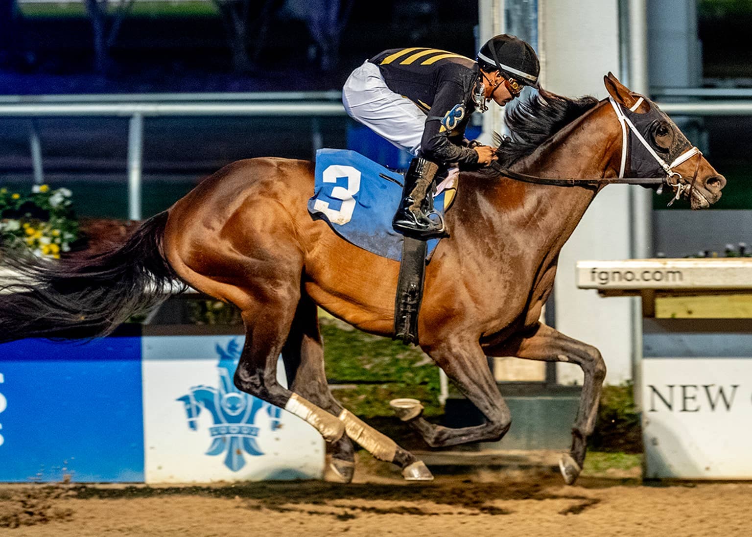 Renegade, Commandment hold top two in latest NTRA Derby poll