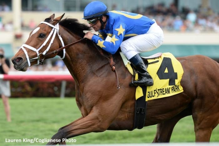 Sultana Upsets Grade 3 Orchid Stakes at Gulfstream in Seasonal Debut